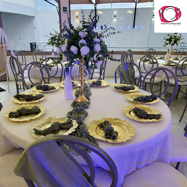 Salones y Mobiliario